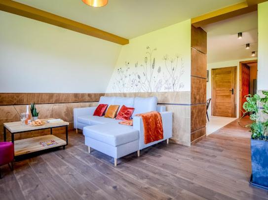 Atlas Chmur Apartament Bialy Dunajec Ngoại thất bức ảnh