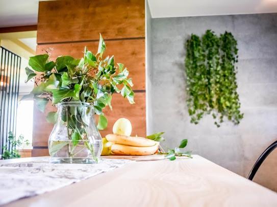 Atlas Chmur Apartament Bialy Dunajec Ngoại thất bức ảnh